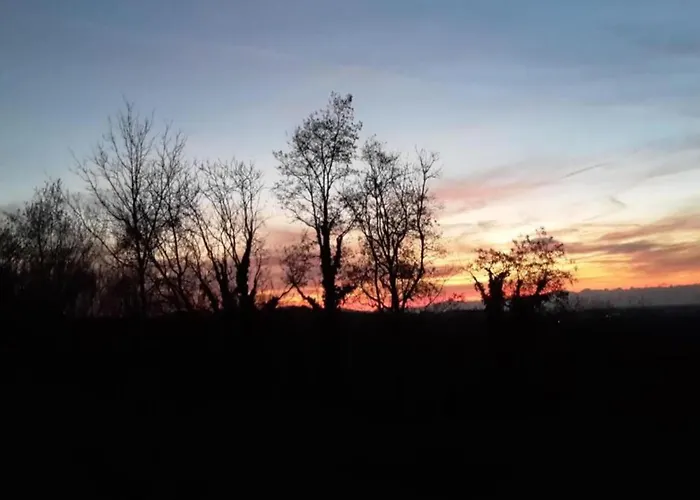 In Daire Herbolzheim