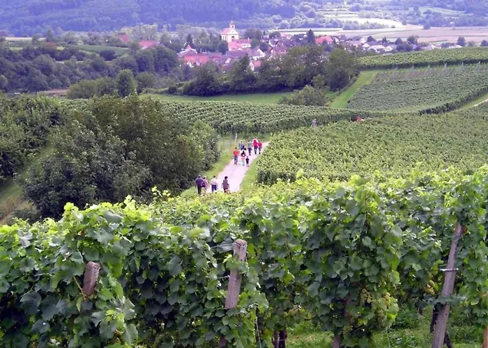 In Daire Herbolzheim